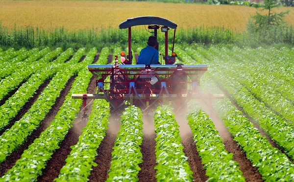 agriculture-farm