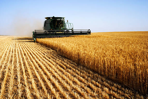 agriculture-products