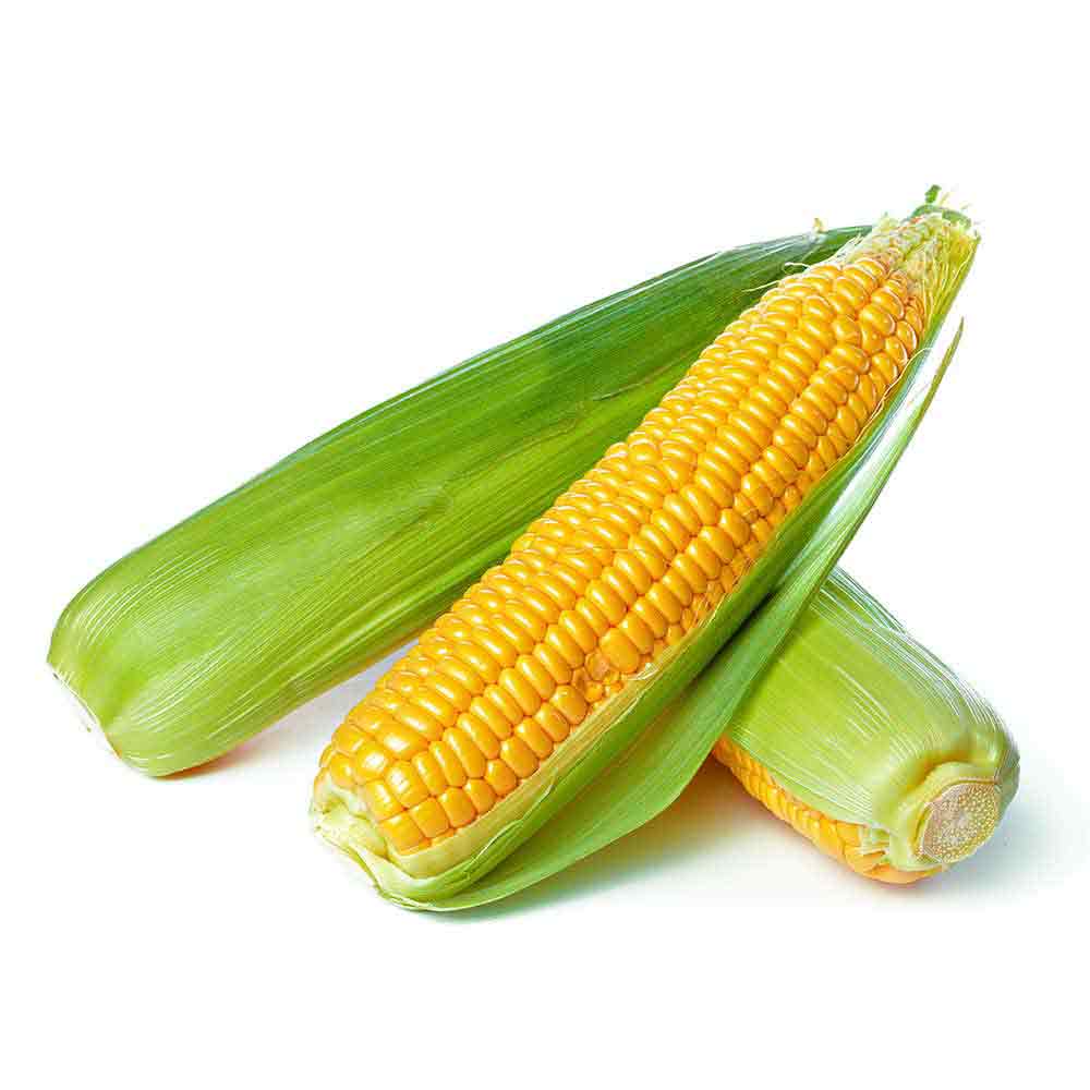 Sweet Corn